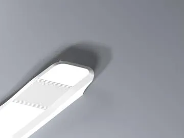 碟架 相片 3