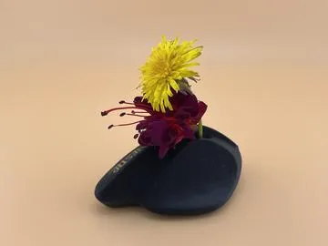 熔岩花瓶 相片 22