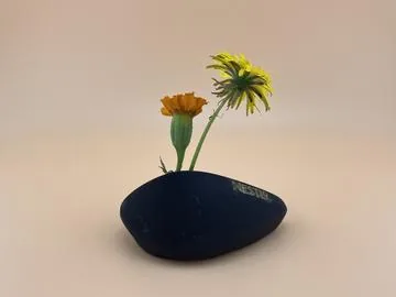 熔岩花瓶 相片 24
