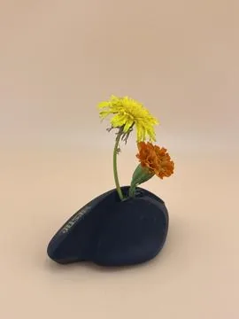 熔岩花瓶 相片 27